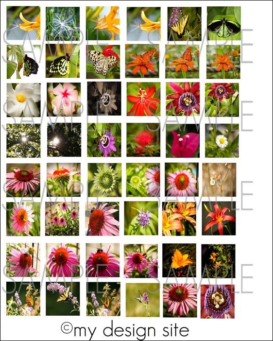 Nature-Graphic-Sheet-sample
