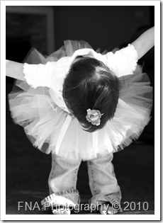 IMG_3712 IMG_3712