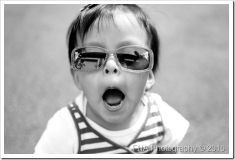 IMG_4544 IMG_4544
