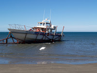 Visit Peninsula Valdes Photo