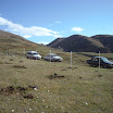 Yayla Ağaçlandırma Çalışmaları