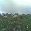 keltepe4.jpg