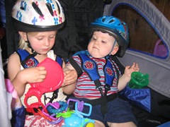 IMG_4498 IMG_4498