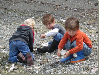 IMG_3662 IMG_3662