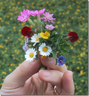 fragile fragile