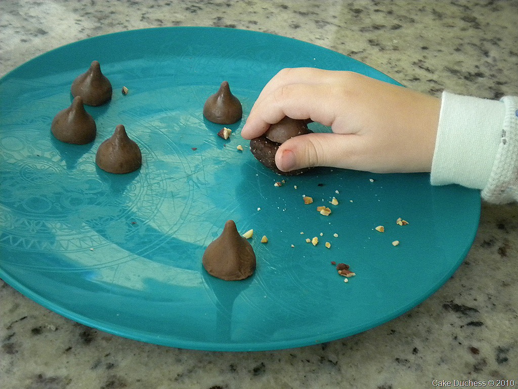 [DSCN4060[7].jpg&description=Chocolate Hazelnut Kiss Cookies and a Double Holiday Giveaway!')]