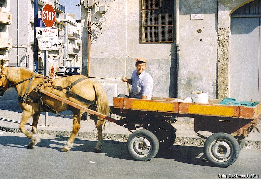 [sicily2005.2 001[6].jpg&description=Persimmon Crumb White Chocolate Bread')]