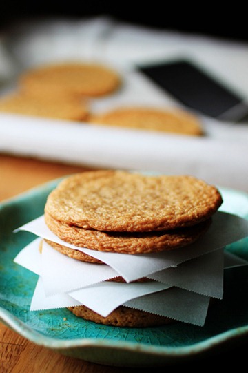 [ALMOND_COOKIE_LORA_3[4].jpg]