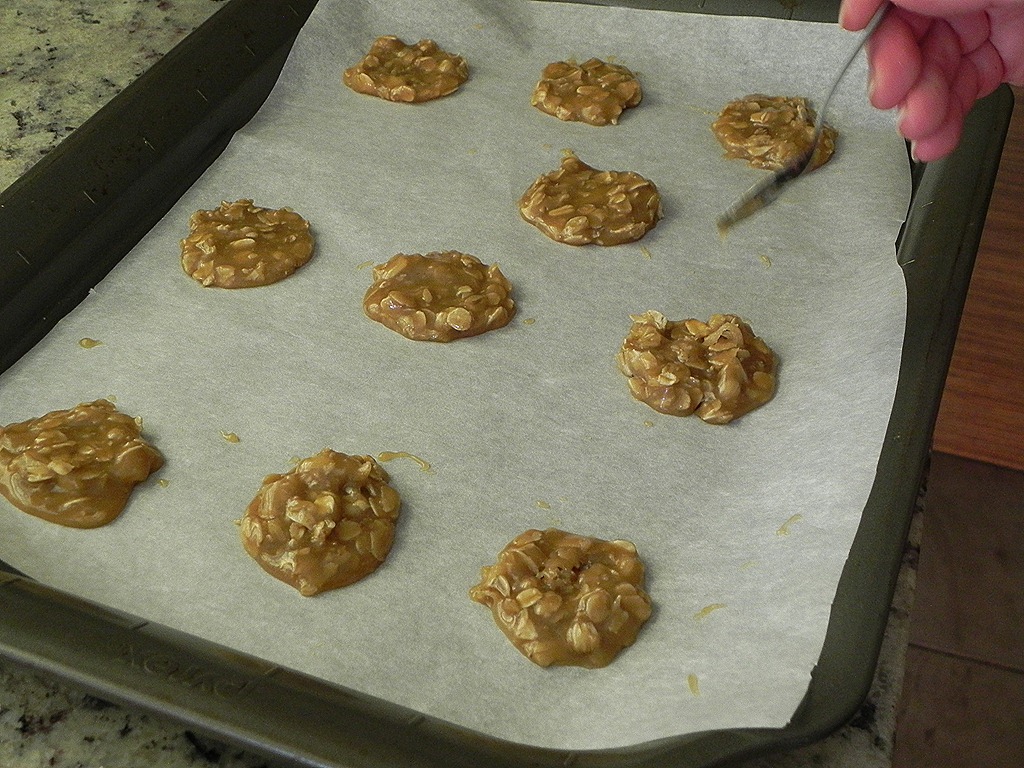 [DSCN61525.jpg&description=Nutella Espresso Panna Cotta and Florentine Cookies – Daring Bakers Challenge')]