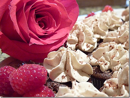 espresso-cupcakes espresso-cupcakes