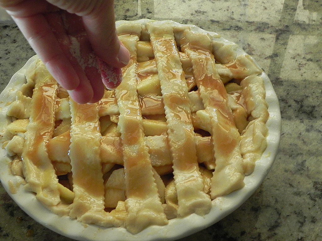 [DSCN7259[5].jpg&description=Salted Caramel Apple Pie')]