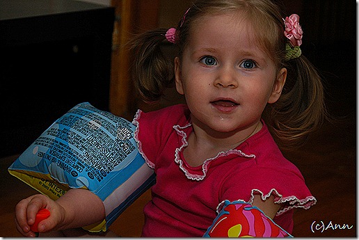 DSC_6290 DSC_6290