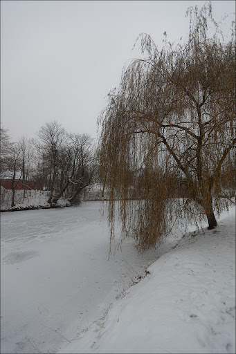 Капли датского короля