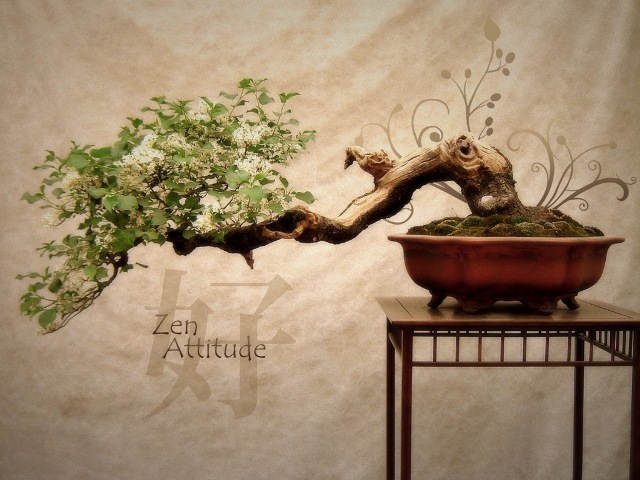 [Zen_Attitude-18[5].jpg]