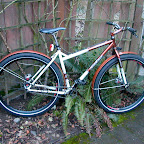 Stylee Commuter