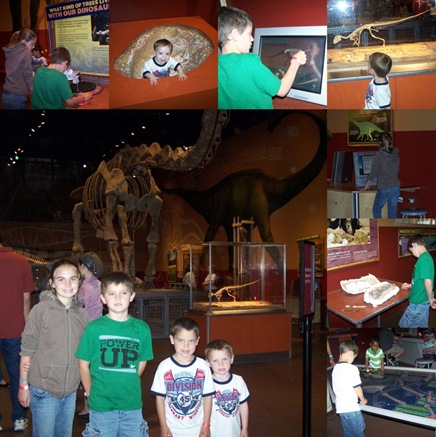 Dino 1