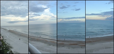 the view