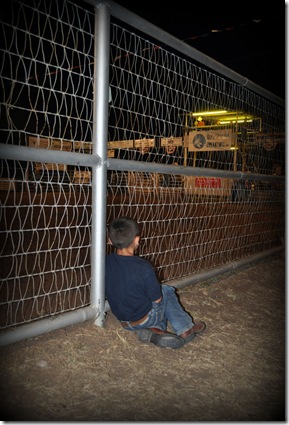 Rodeo 446
