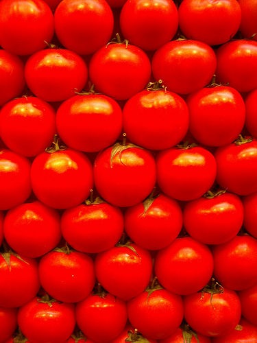 [tomates[2].jpg]