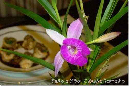 jantar_para_dois 027