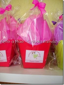 Preparativos 031 Preparativos 031