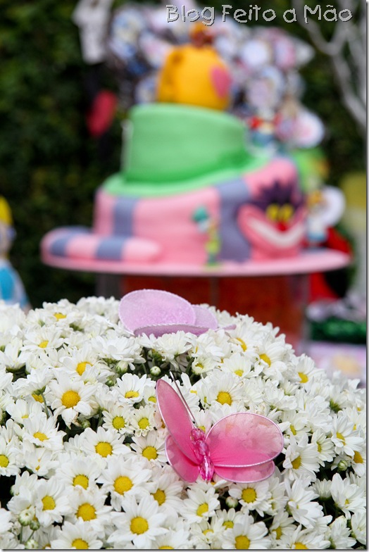 IMG_2655 IMG_2655