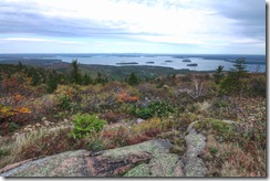 From the top of Cadillac Mountain in Acadia national park. You can see 3 cruise liners if you look carefully