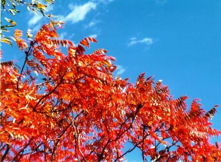 [november[2][2].jpg]