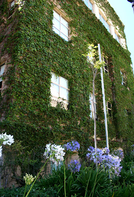 Leafy walls on a building on the UCLA campus in Los Angeles