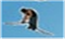 [image223.png]