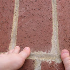 toes
