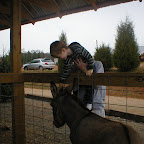 and I pet my donkey