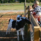 mooo