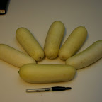 Some of the “fruits” of my labor. We had a pair of white cucumber plants that produced about 25 cukes.