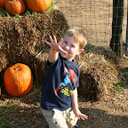Spiderman Looks for Pumpkin