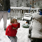 Snowball fight. Actually, he just likes to watch the snowballs explode against the house.