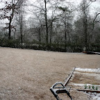 Obligatory yard shot.