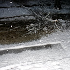 The rectangle is where Dusty was parked until that large branch came down about 3 feet from the tailgate.