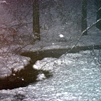 Snowy stream at night.