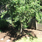 dscf5385.jpg