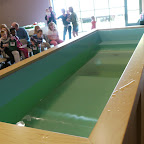 P1000677.JPG