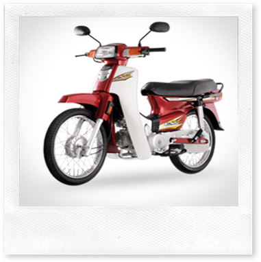 ex5-red ex5-red