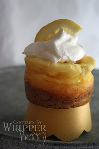 [Mini Lemon Curd Cheesecake_edited-1[7].jpg]