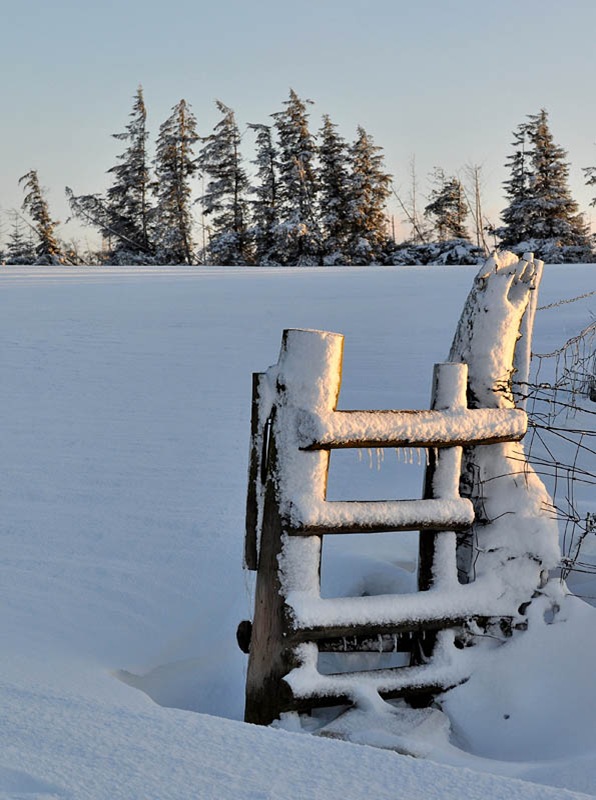 [Gatepost, Kerry[8].jpg]