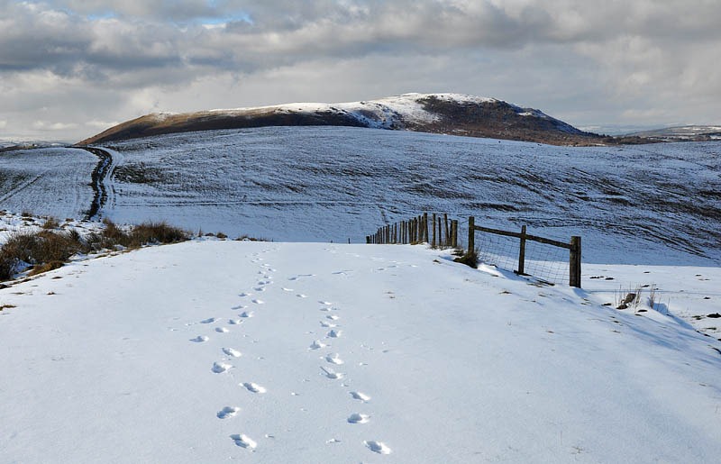 [Snowfall on Heath Mynd[11].jpg]