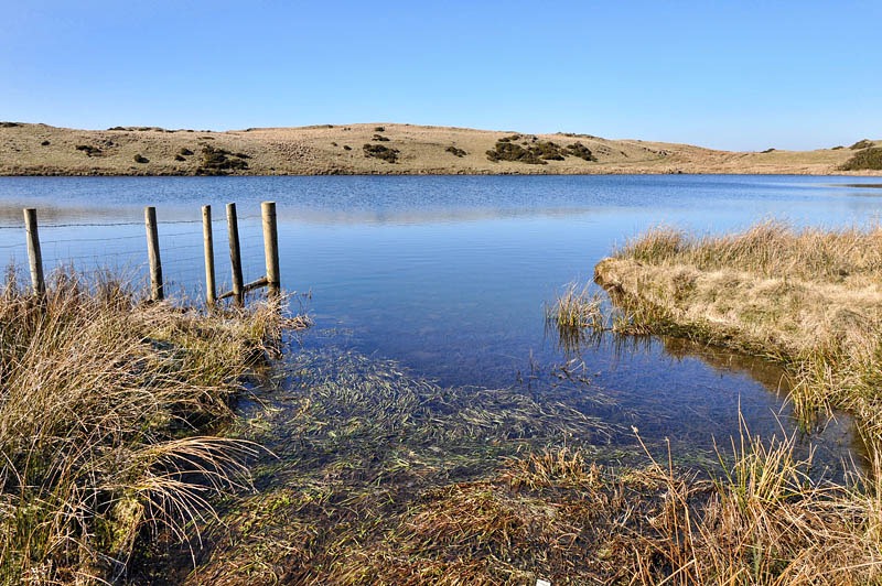 [Llyn y Grinwydden[6].jpg]
