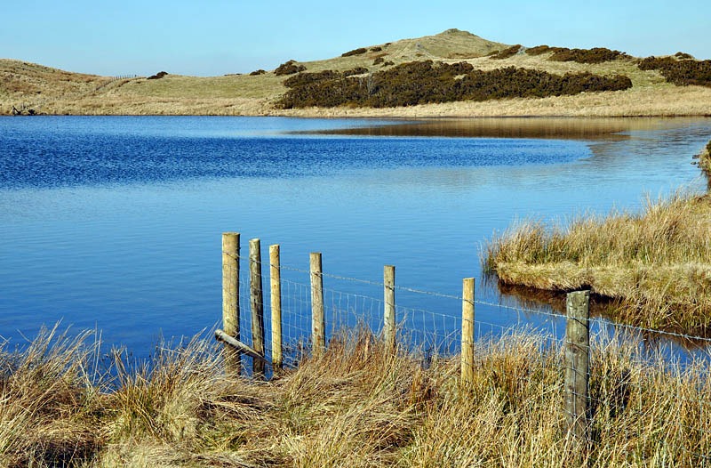 [Fence, Llyn y Grinwydden[5].jpg]