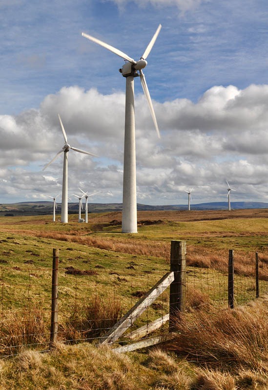 [Windmills 1[6].jpg]