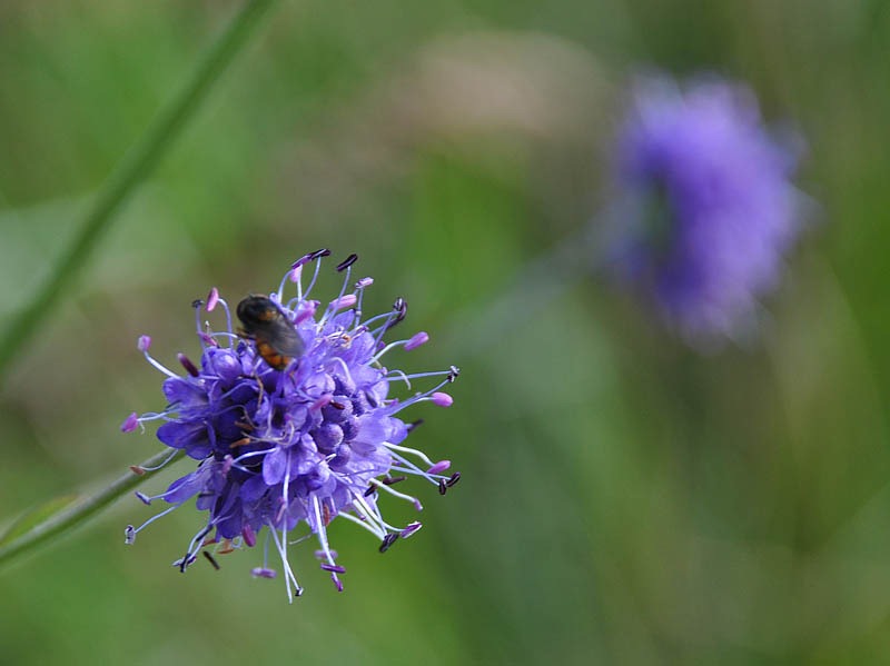 [DSC_6409_sm[3].jpg]