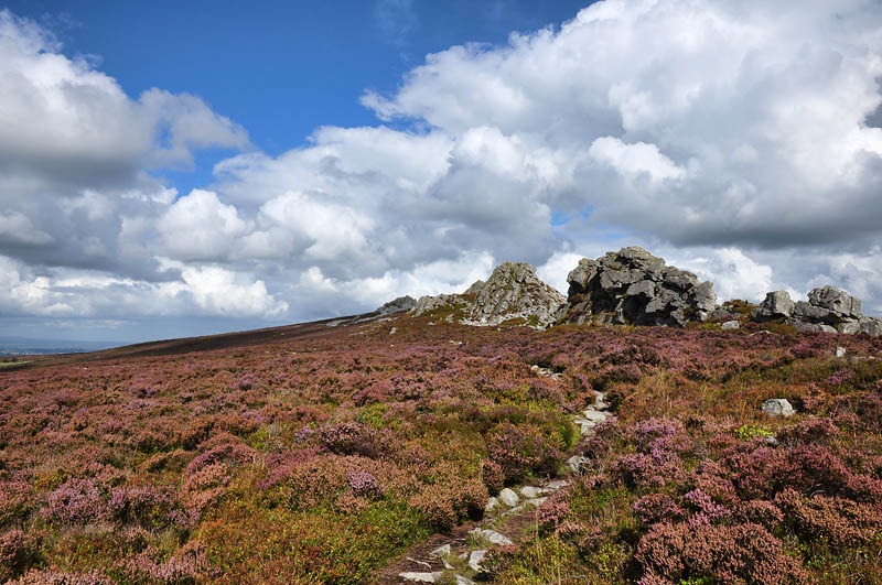 [DSC_6438_sm[3].jpg]